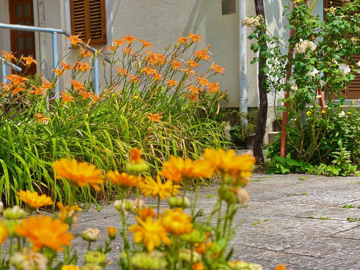 Garden House Будва Экстерьер фото